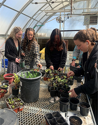 group of students in greenhouse looking at plants